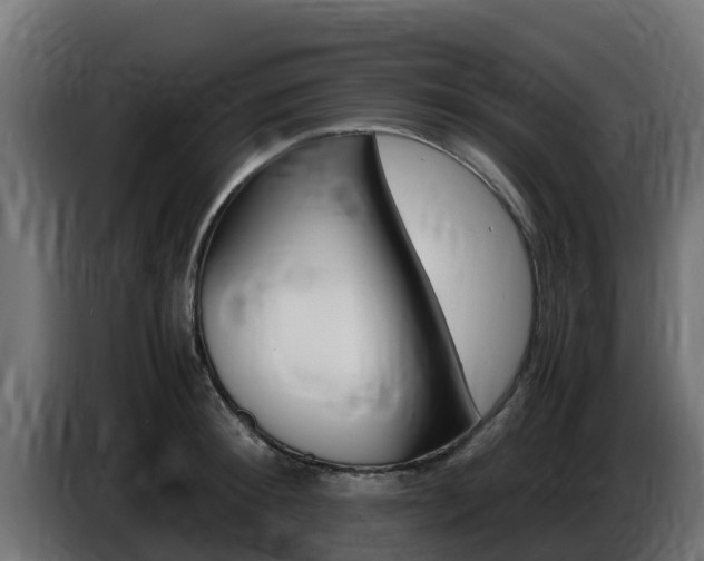 X0000086770900200704130834
