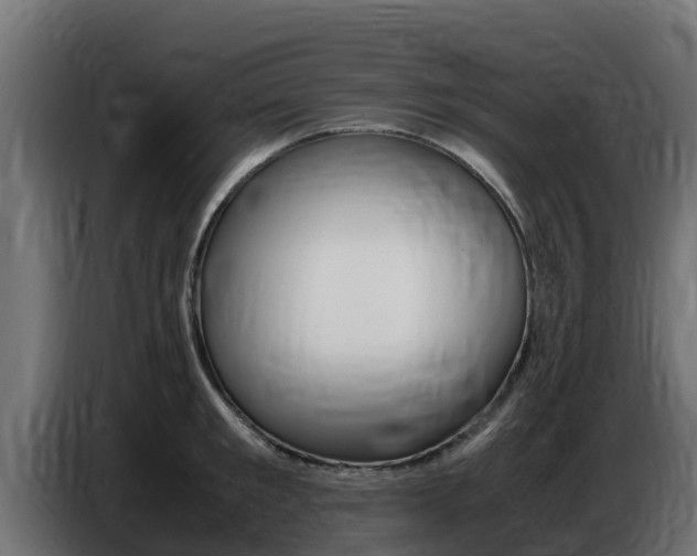 X0000086770901200704130834