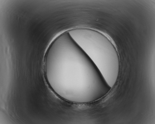 X0000086770903200704130834