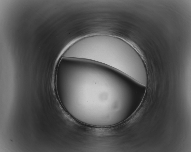 X0000086770904200704130833