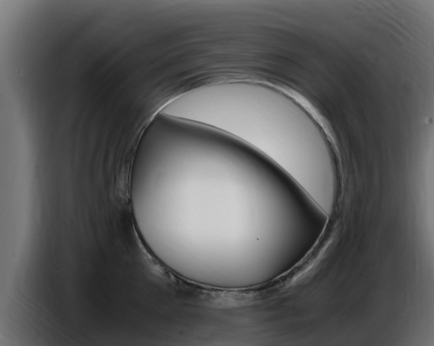 X0000086770905200704130833
