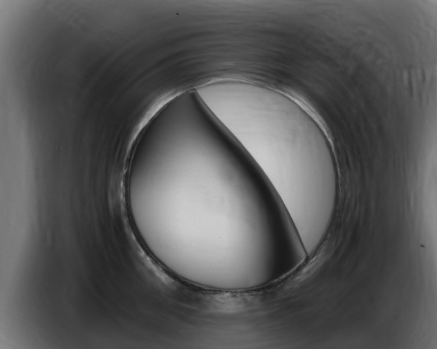 X0000086770906200704130833