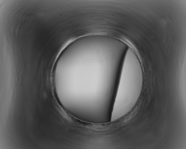 X0000086770907200704130833