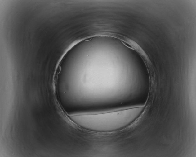X0000086770908200704130833
