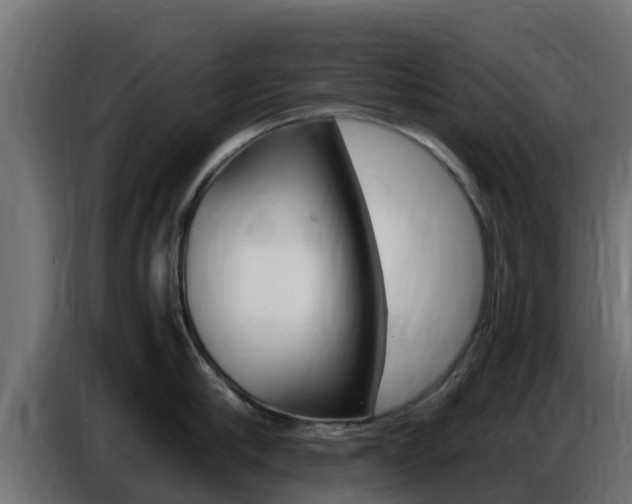 X0000086770910200704130833