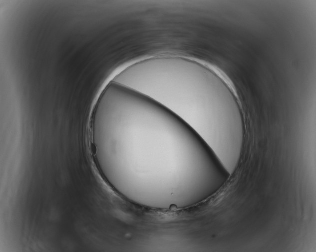 X0000086770911200704130833