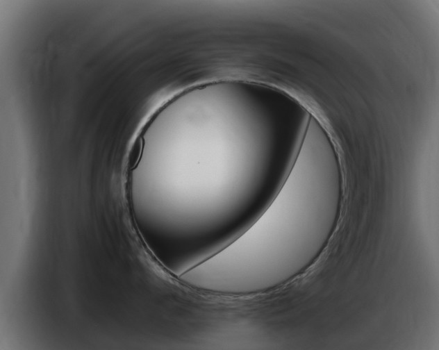 X0000086770912200704130833