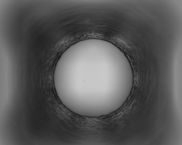 X0000086770917200704130833
