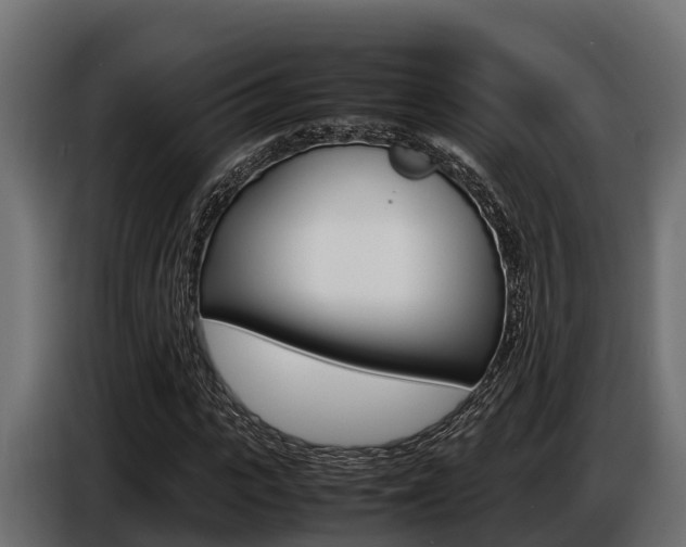 X0000086770919200704130833