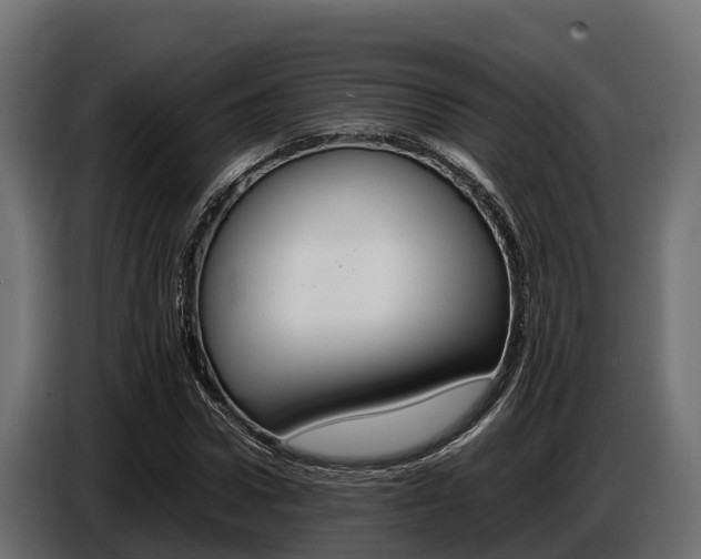X0000086770922200704130833