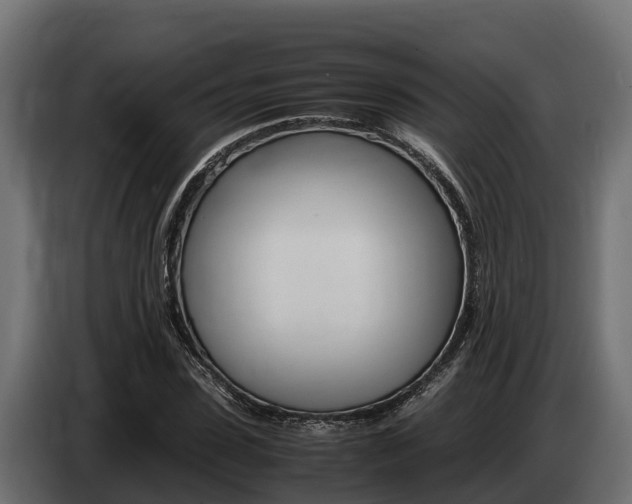 X0000086770923200704130833