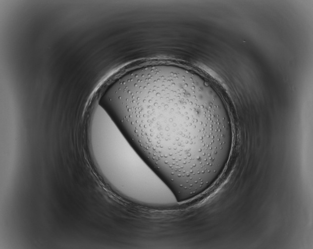 X0000086770925200704130833