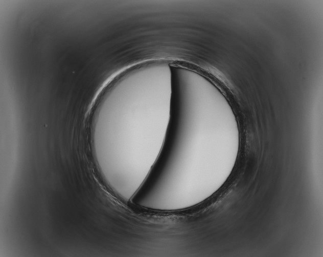 X0000086770926200704130833