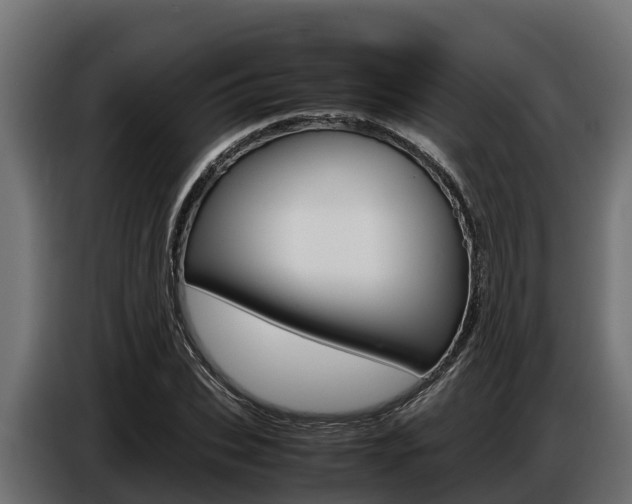 X0000086770927200704130833