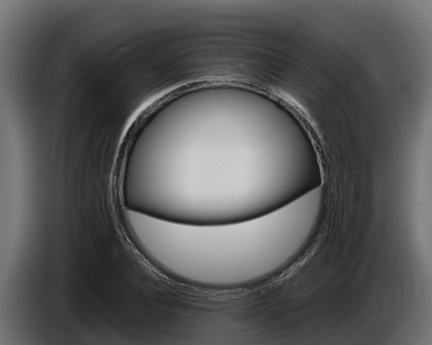 X0000086770928200704130833