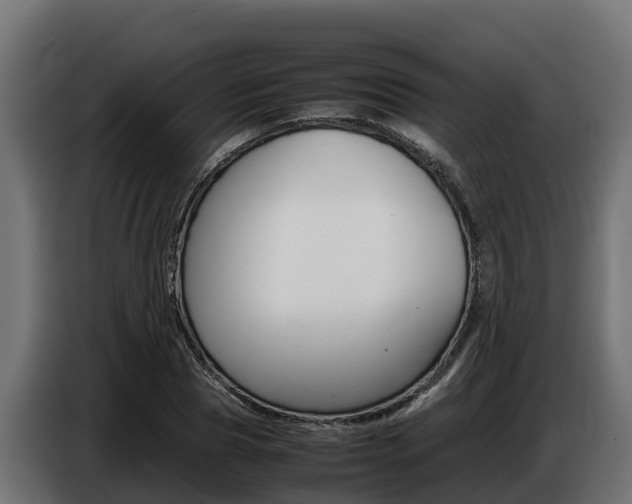 X0000086770929200704130833