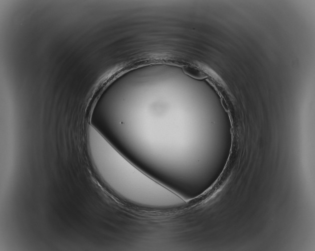 X0000086770930200704130833