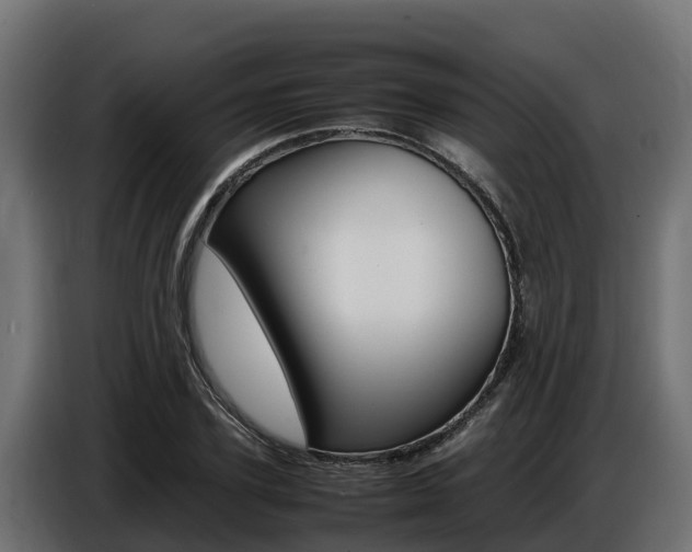 X0000086770931200704130833