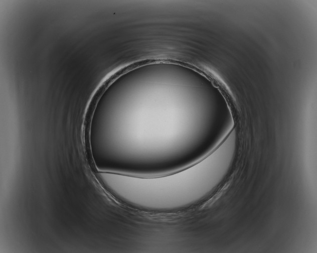X0000086770932200704130833