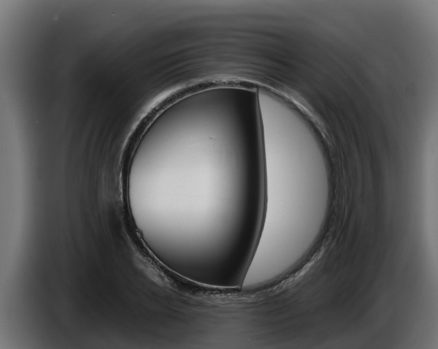 X0000086770934200704130833