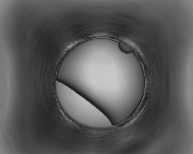 X0000086770937200704130833