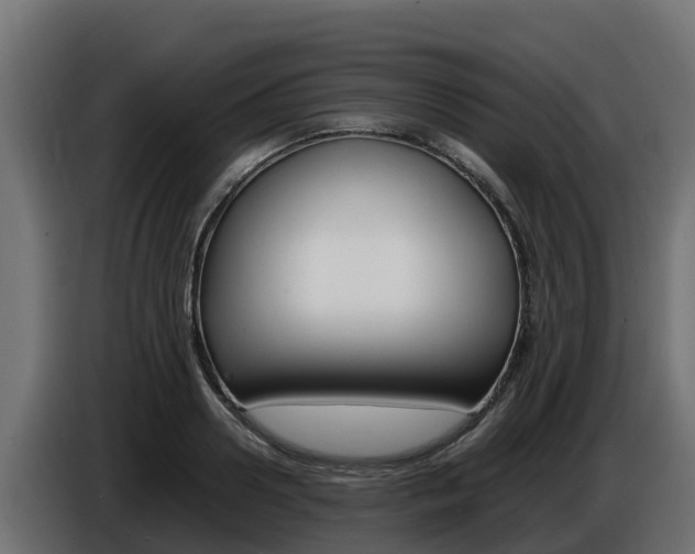 X0000086770938200704130833