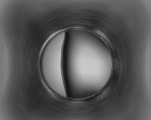 X0000086770939200704130833