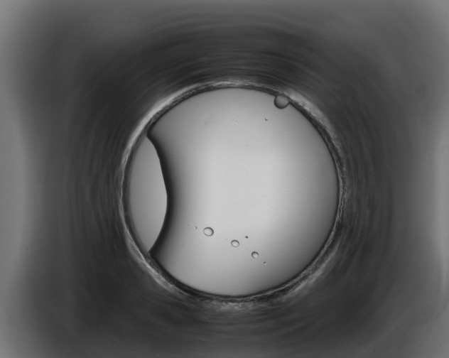 X0000086770941200704130833