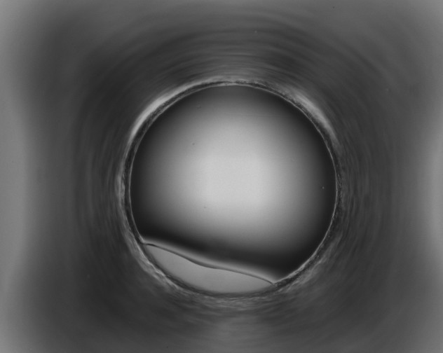 X0000086770944200704130833