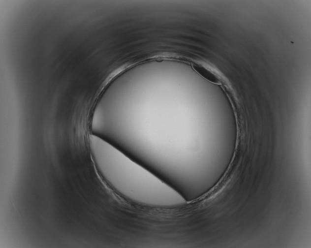 X0000086770945200704130833