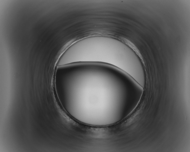 X0000086770946200704130833