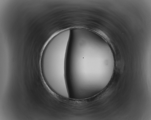 X0000086770947200704130833