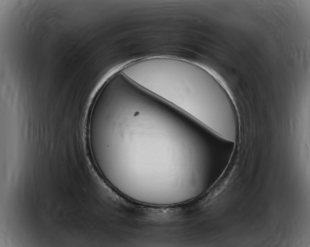 X0000086770949200704130833