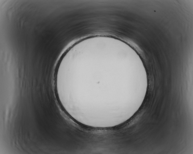 X0000086770950200704130833