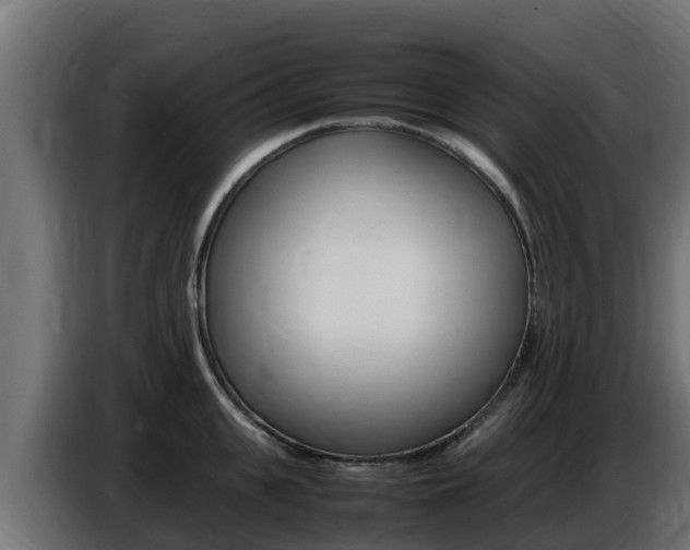 X0000086770951200704130833