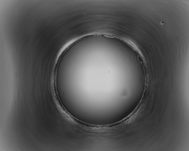 X0000086770952200704130833