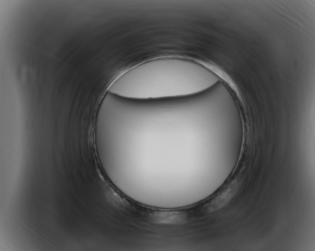 X0000086770953200704130833