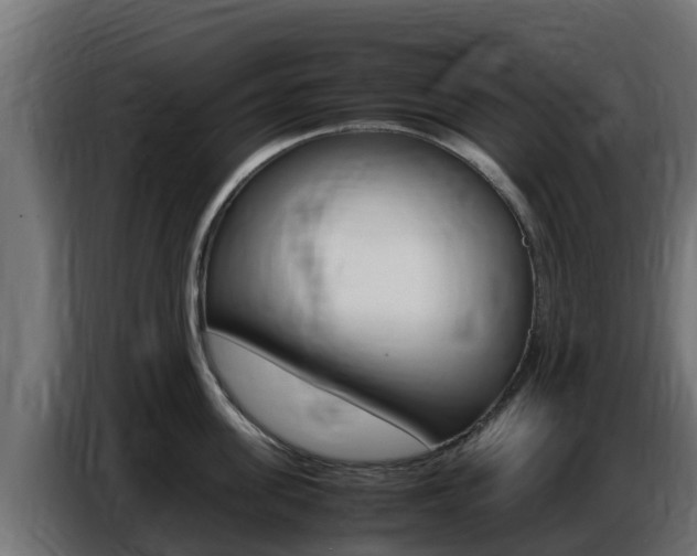 X0000086770955200704130833