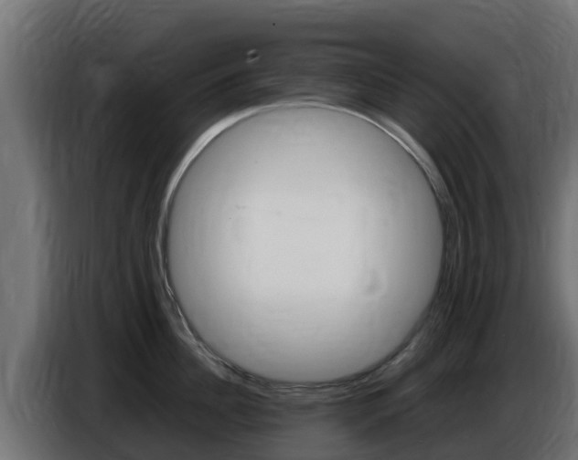 X0000086770956200704130833