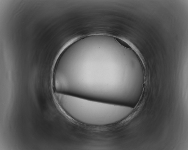 X0000086770957200704130833