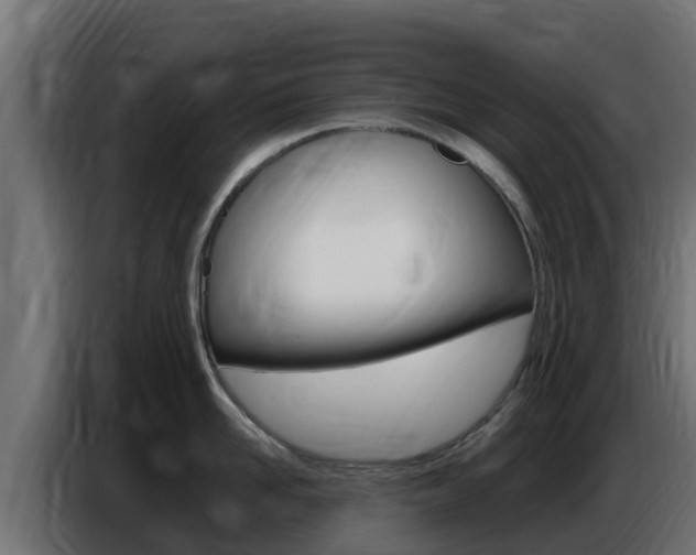 X0000086770958200704130833