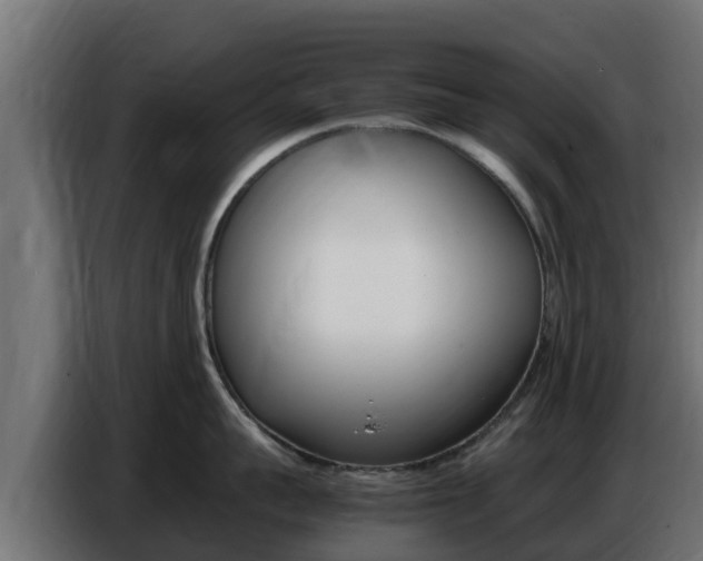X0000086770959200704130833
