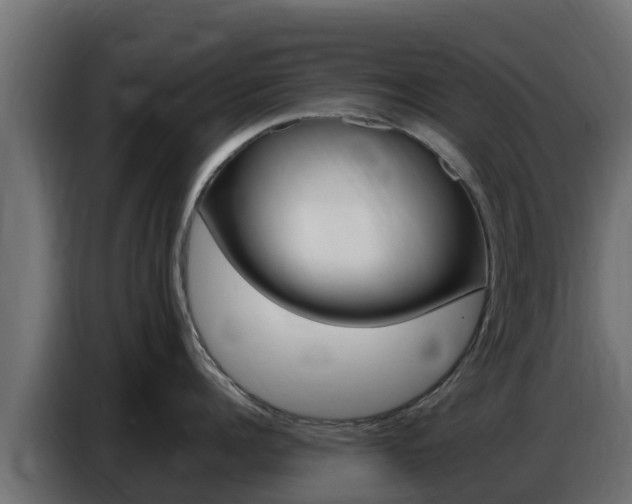 X0000086770960200704130833