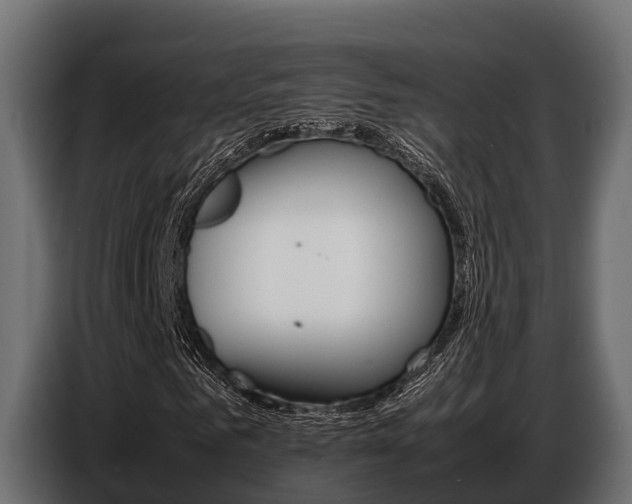 X0000086770961200704130833