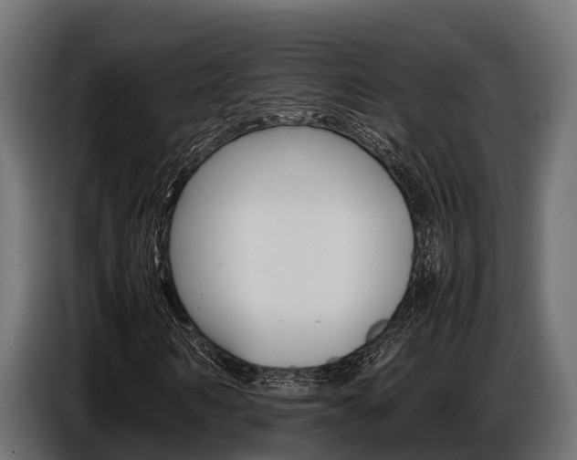 X0000086770962200704130833