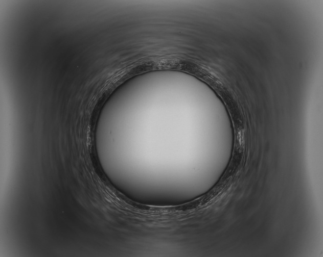 X0000086770963200704130833