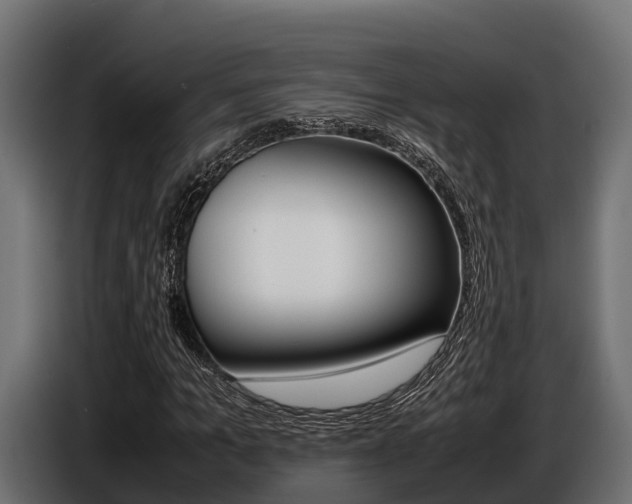 X0000086770965200704130833