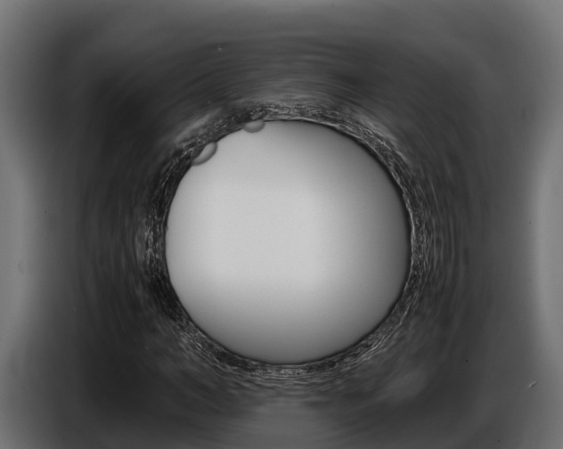 X0000086770966200704130833