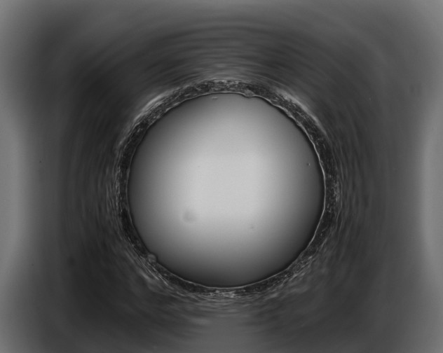 X0000086770968200704130833