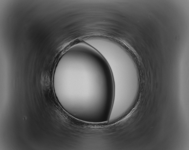 X0000086770969200704130833